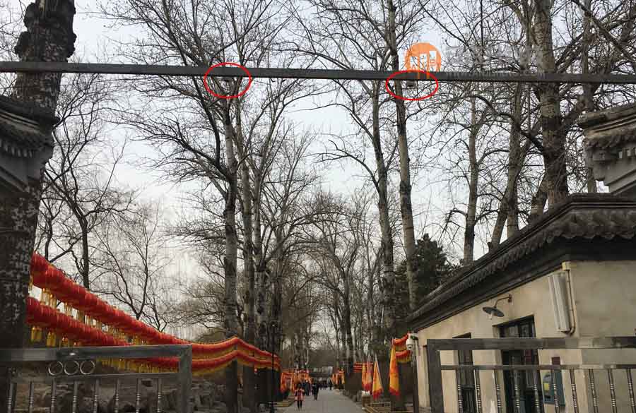 圓明園全面采用我司客流統(tǒng)計(jì)系統(tǒng)管理園區(qū)客流(圖2) 圓明園全面采用我司客流統(tǒng)計(jì)系統(tǒng)管理園區(qū)客流(圖2)